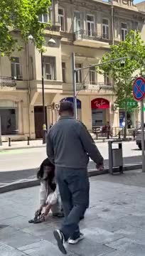 Bakıda qızı küçədə 