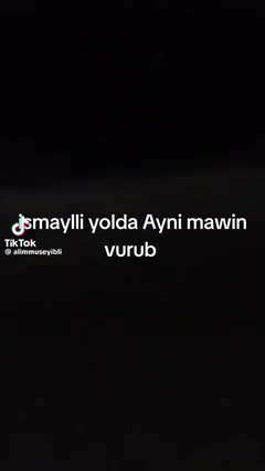 Turizm şirkətinin maşını ilə ayını vurub öldürdü