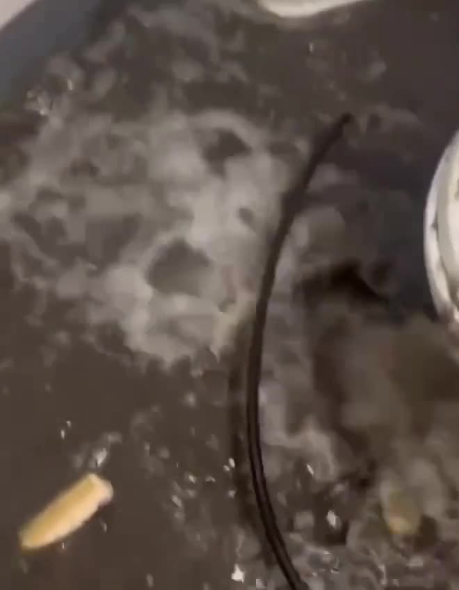 Təyyarədaşıyanda tualet problemi