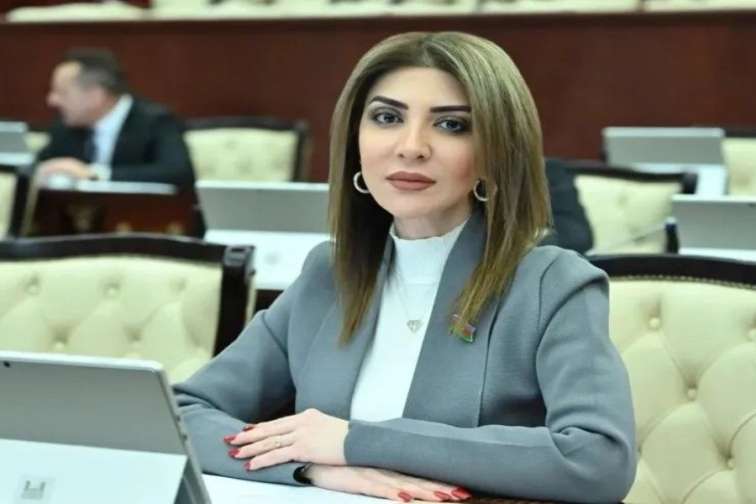 "Uşaqpulu verilsə, kişilər işləməz"