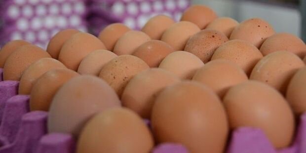 Mağazalara yararsız yumurta satan şəxs saxlanıldı