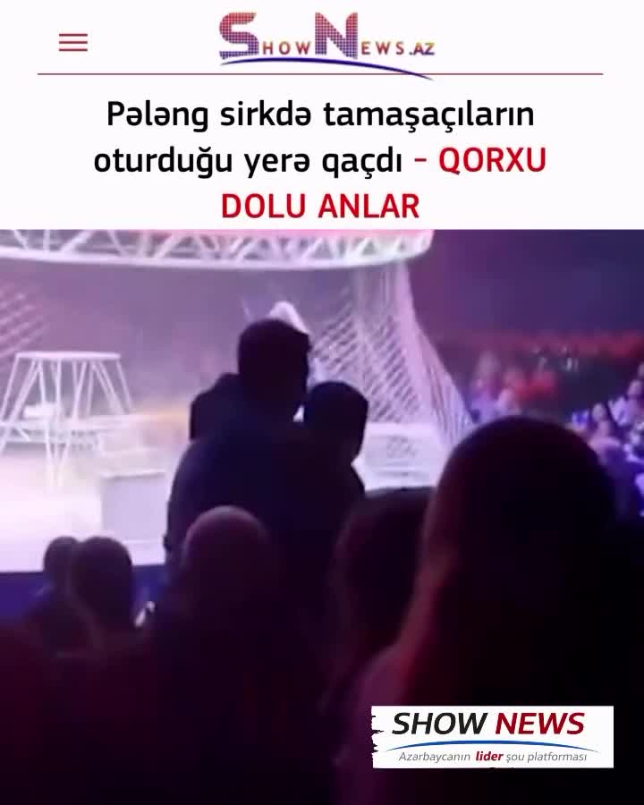 Rusiyada sirkdə dəhşətli anlar 