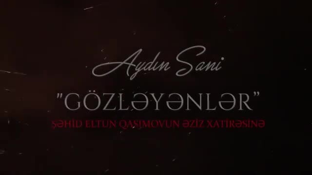 Aydın Sani - Gözləyənlər