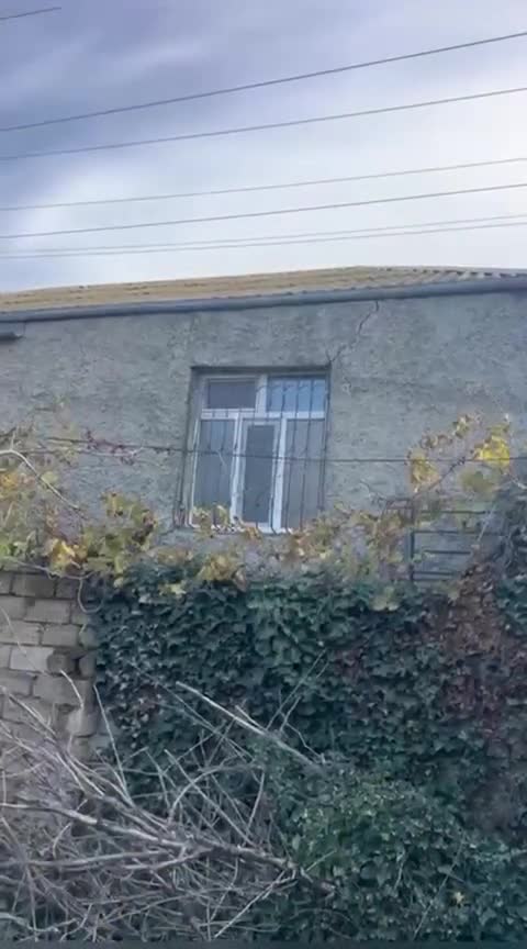 “Dedilər evin həyətinə adi bir siqaret kötüyü düşərsə...”