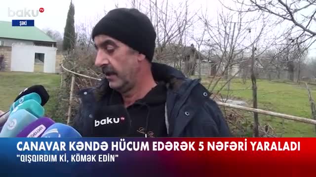 “Yola çıxanda gördüm ki, canavar qadını tutub...”