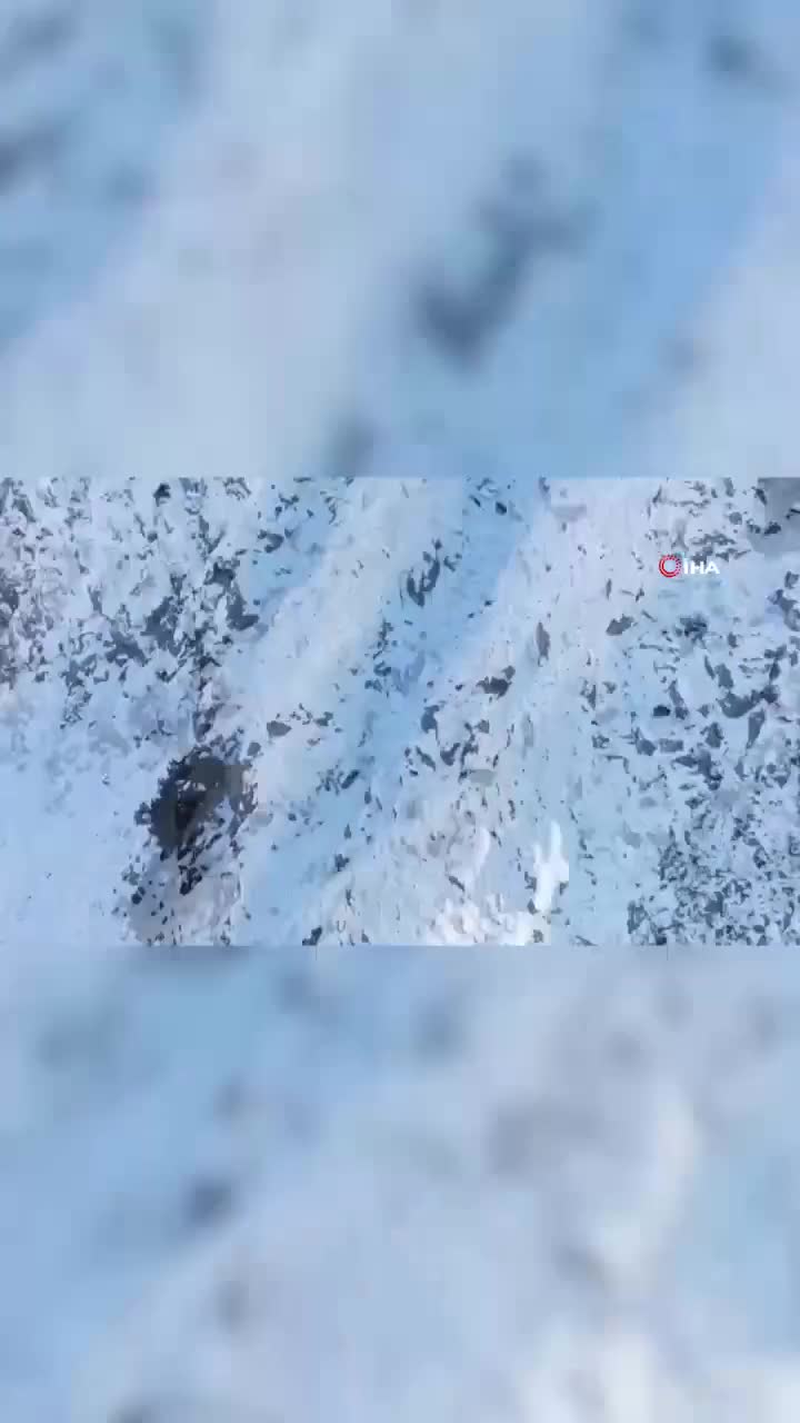 Türkiyədə qartal çəkiliş aparan PUA-nı “ovladı”