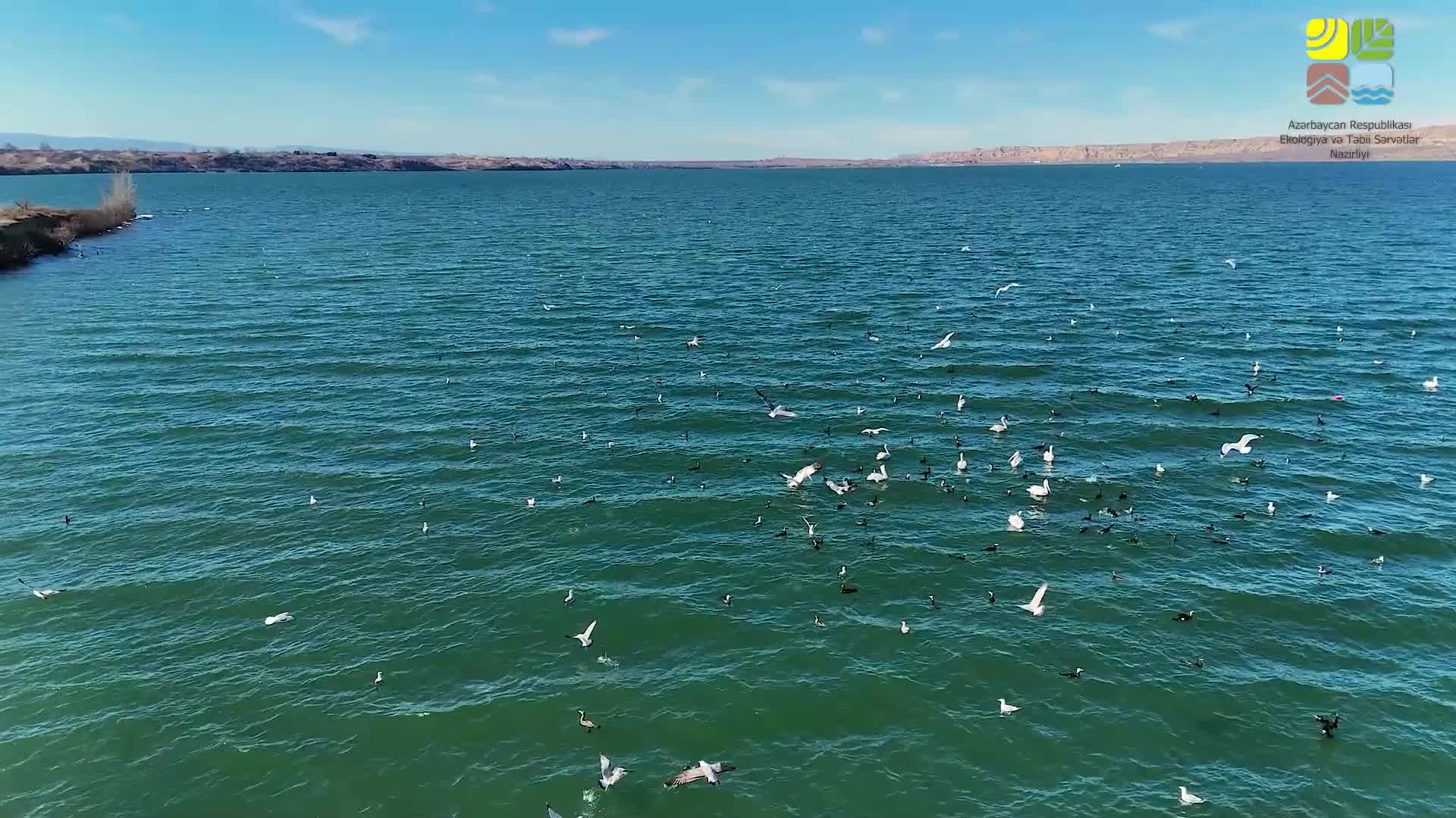Yenikənd su anbarında ekoloji nəzarət gücləndirilib