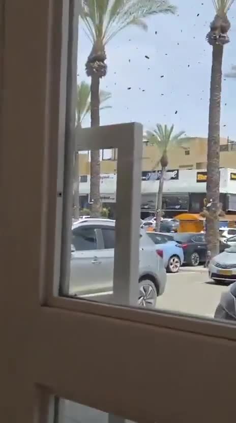 Arı sürüsü hərbi uçuşları dayandırdı