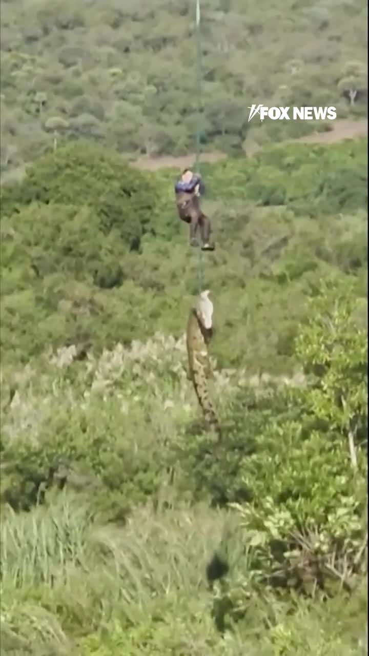İtkin düşən iş adamı nəhəng timsahın mədəsində “tapıldı”