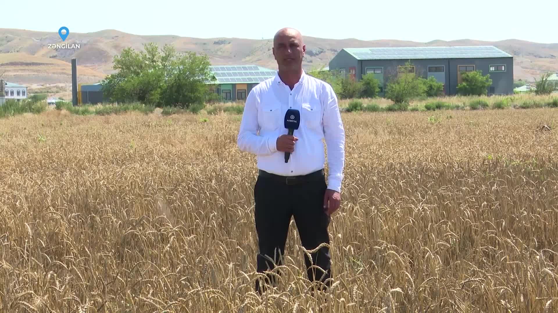 Ağalıda kənd təsərrüfatı