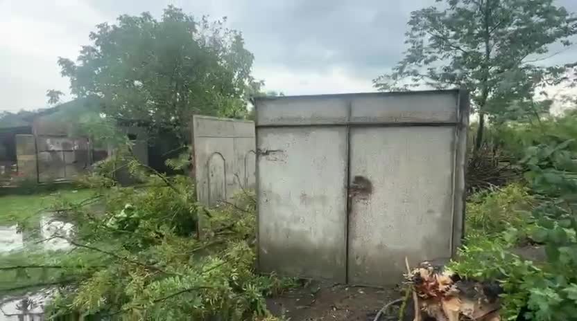 Güclü külək Qax və Zaqatalada fəsadlar törətdi