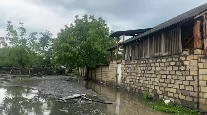 Güclü külək Qax və Zaqatalada fəsadlar törətdi