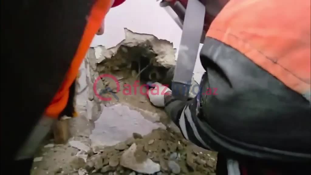 İki divar arasında çarəsiz qalmış canlı xilas edildi