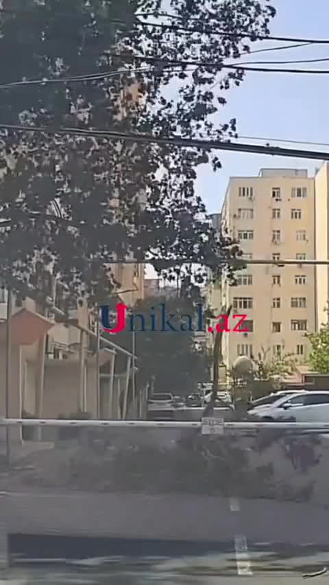 Külək nəticəsində sınan budaq piyadanın üzərinə düşdü