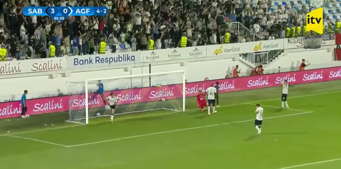 Sander Severinanın qolu