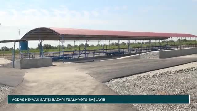 Ağdaşda 