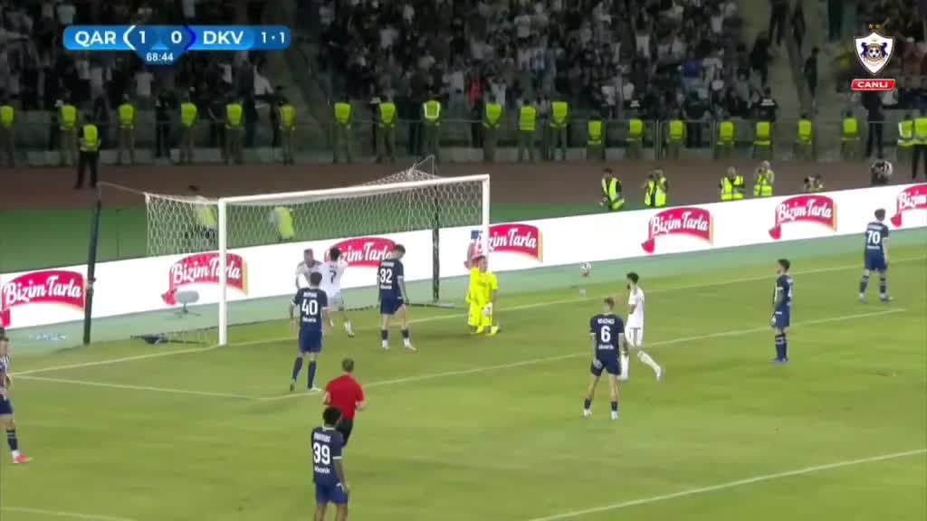 Aleksey Kaşukun qolu