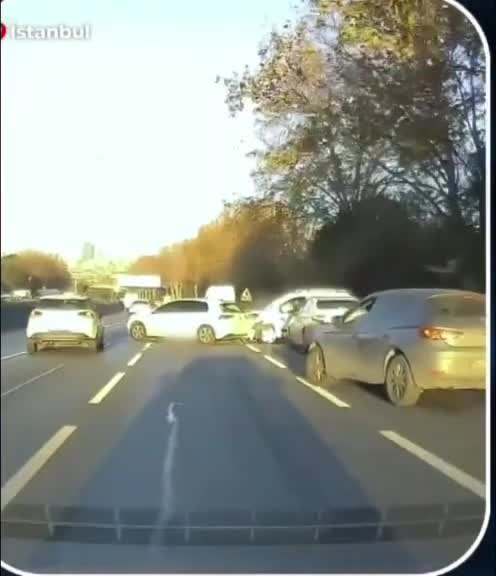 Pişiyi vurmamaq üçün qəfil dayandı