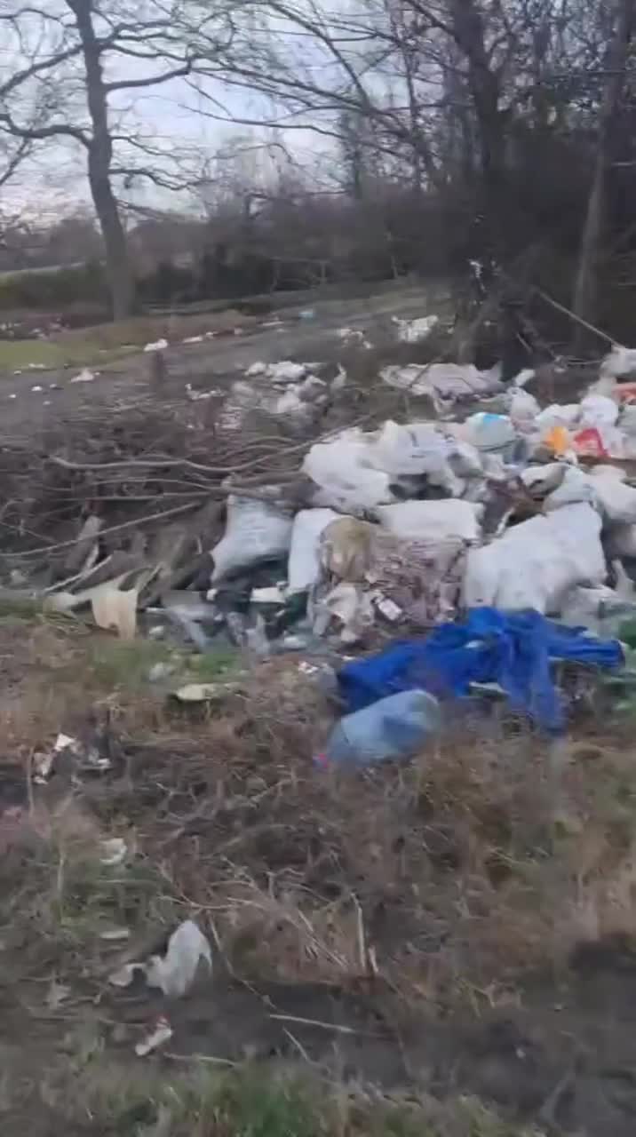 Yerli turistlər meşə zonasını zibilxanaya çevirib