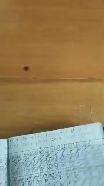 direktorun qohumları səs verdi