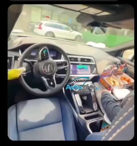 Avtonom maşının sükanına qonan quşun əyləndi