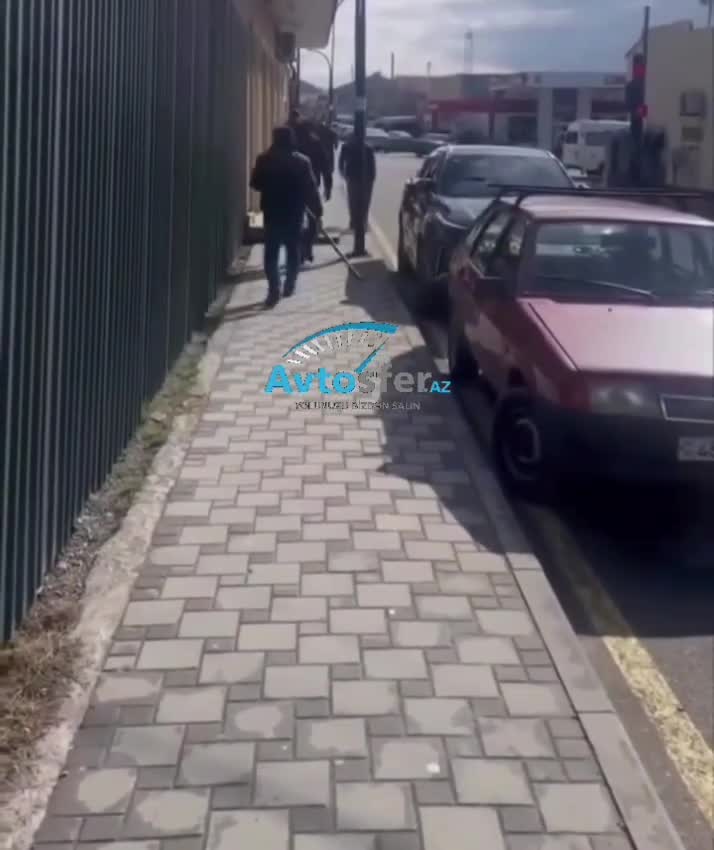 Oğuzda qaçırılan küçə itlərinin aqibəti bilinmir