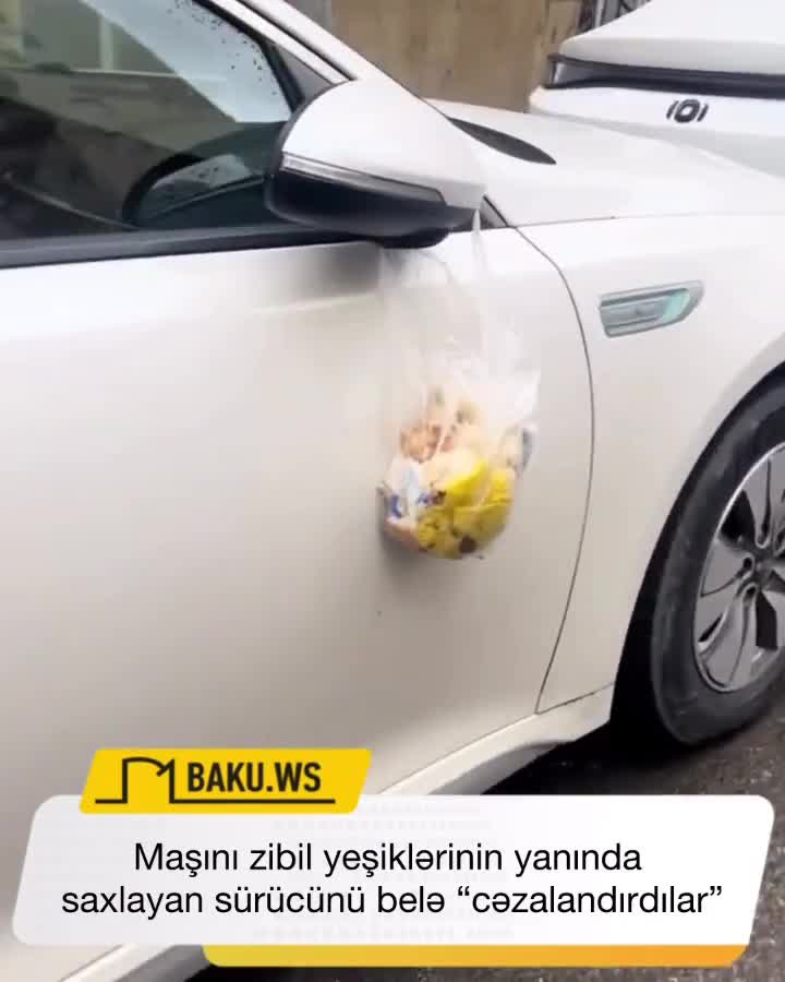 Maşını zibil yeşiklərinin yanında saxlayan sürücü