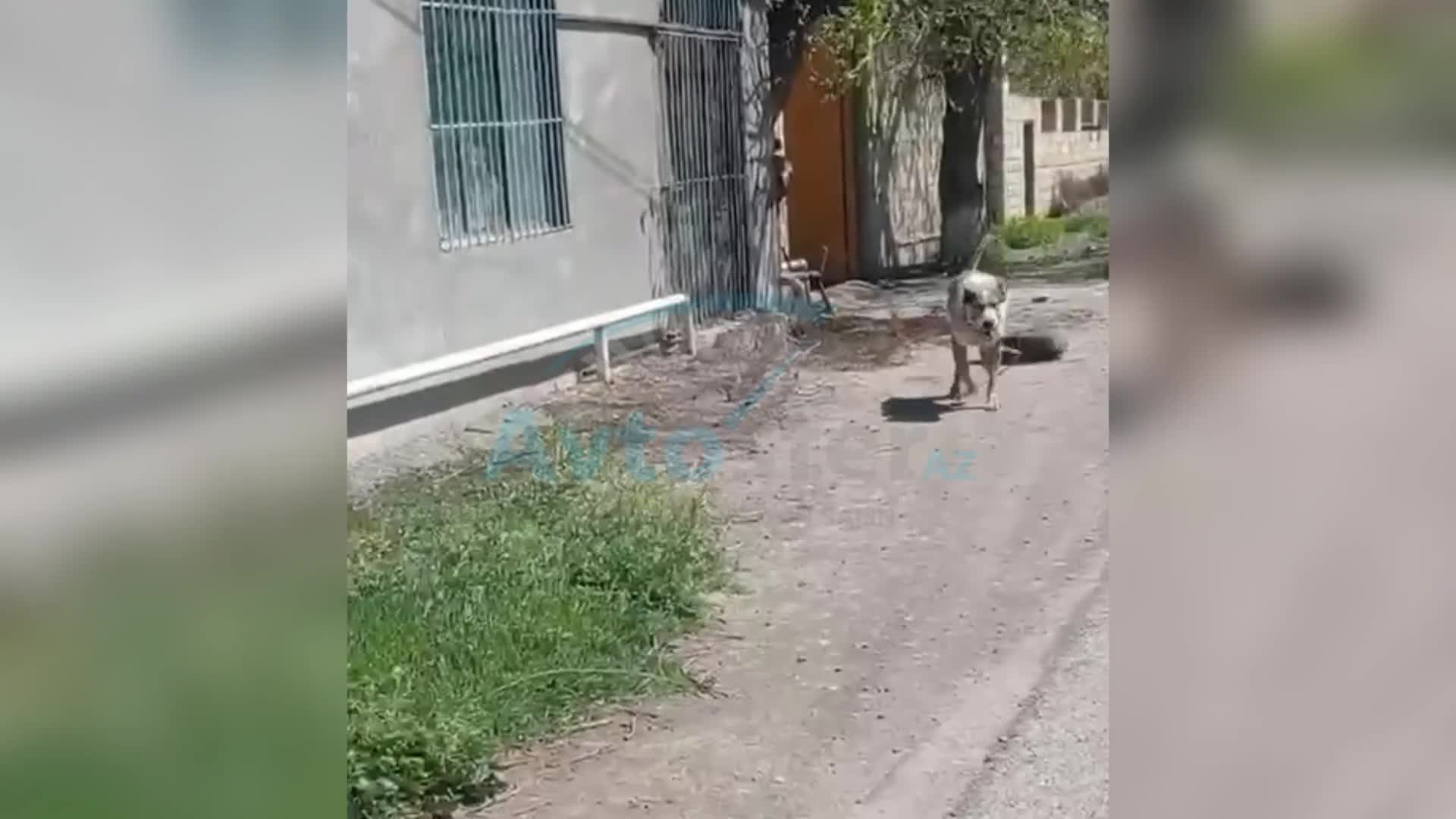 Goranboyda işgəncə