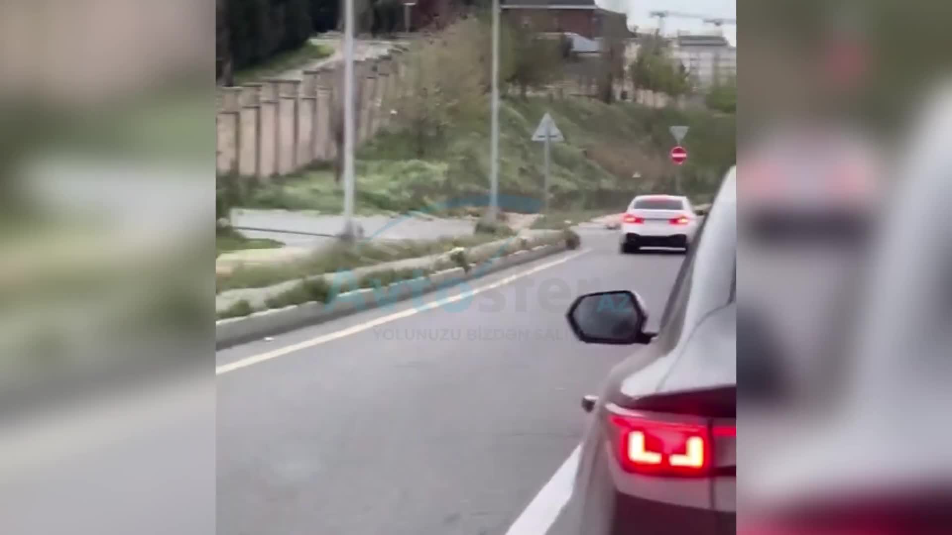 Tıxacdan yayınan sürücülər əks zolağı zəbt etdi