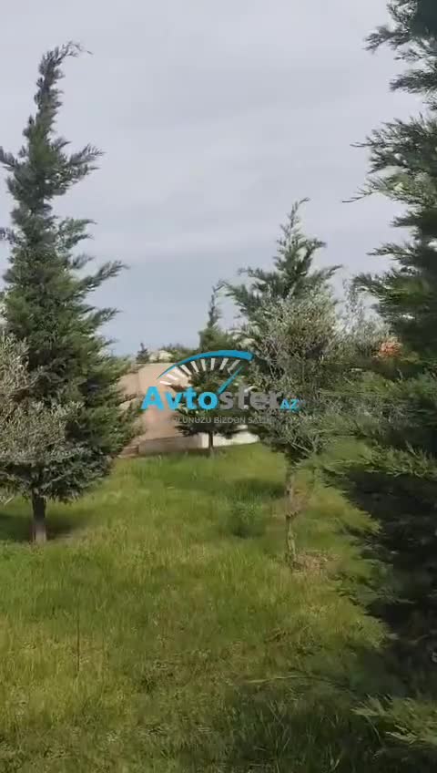 Bulvar ərazisi yenə satılır: Ağacları kəsib obyektə çevirirlər