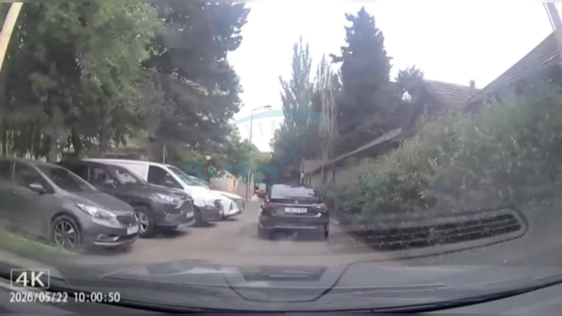 Bakıda “Lexus” sürücüsü küçəni zibillədi 
