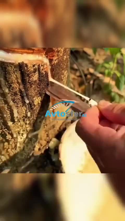 Avtomobil təkərləri niyə qara rəngdə istehsal olunur? 