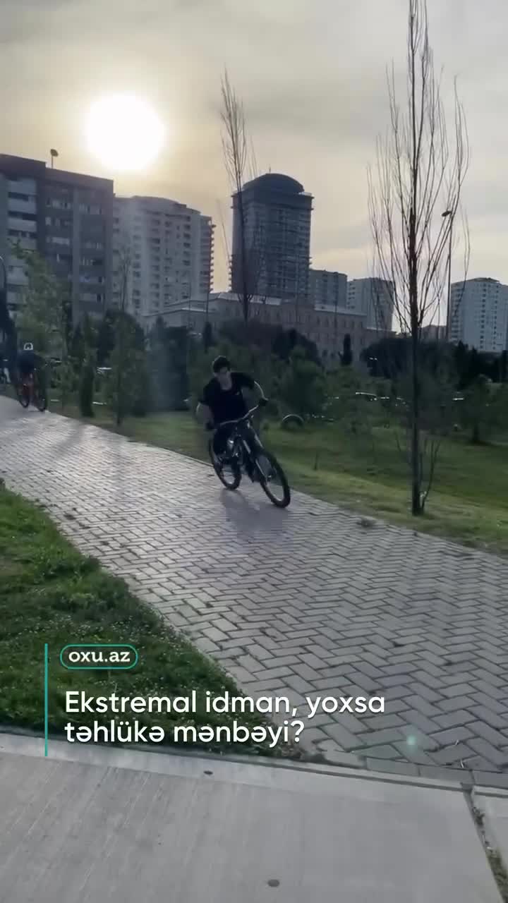 Parkda istirahət edənləri qorxudan görüntülər