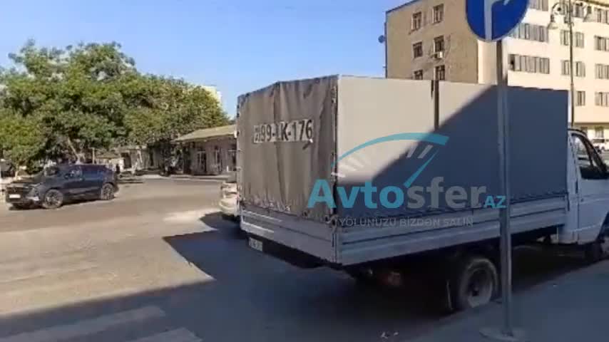 Qazel zebranın qarşısında saxlayıb