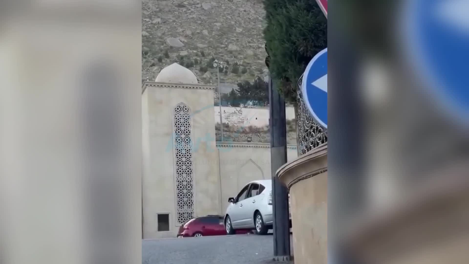 Ağacın arxasında qalan işıqfor sürücüləri cərimələndirir