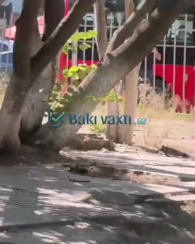 Avtobus sürücüsü DÖYÜLDÜ