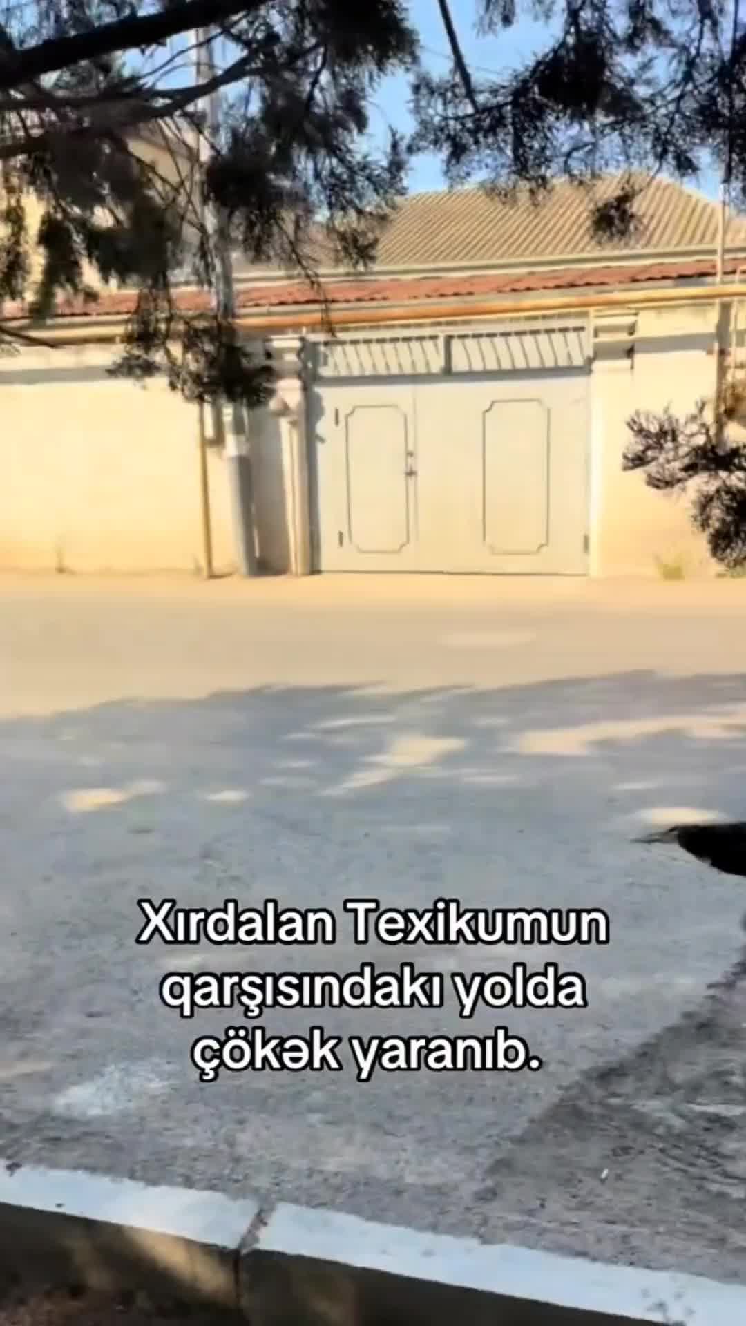 Xırdalanda yol çöküb: Sakinlər xahiş edir