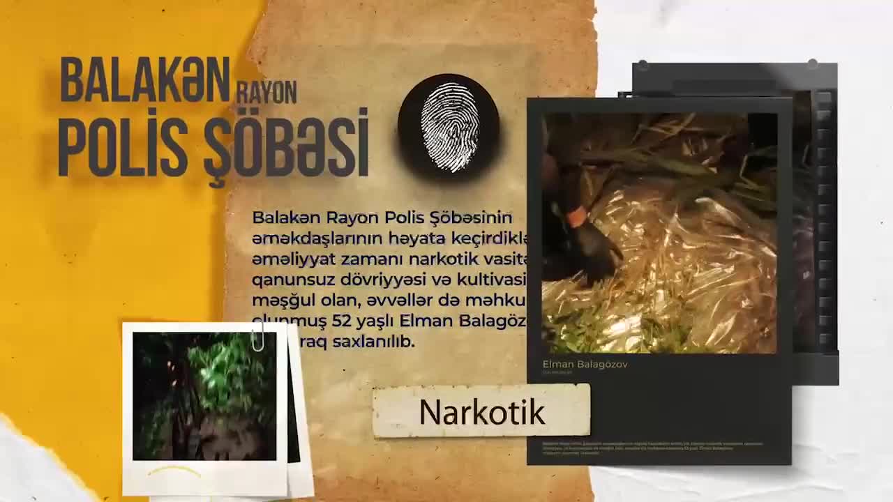 qarğıdalı sahəsində külli miqdarda narkotik vasitə aşkarlandı