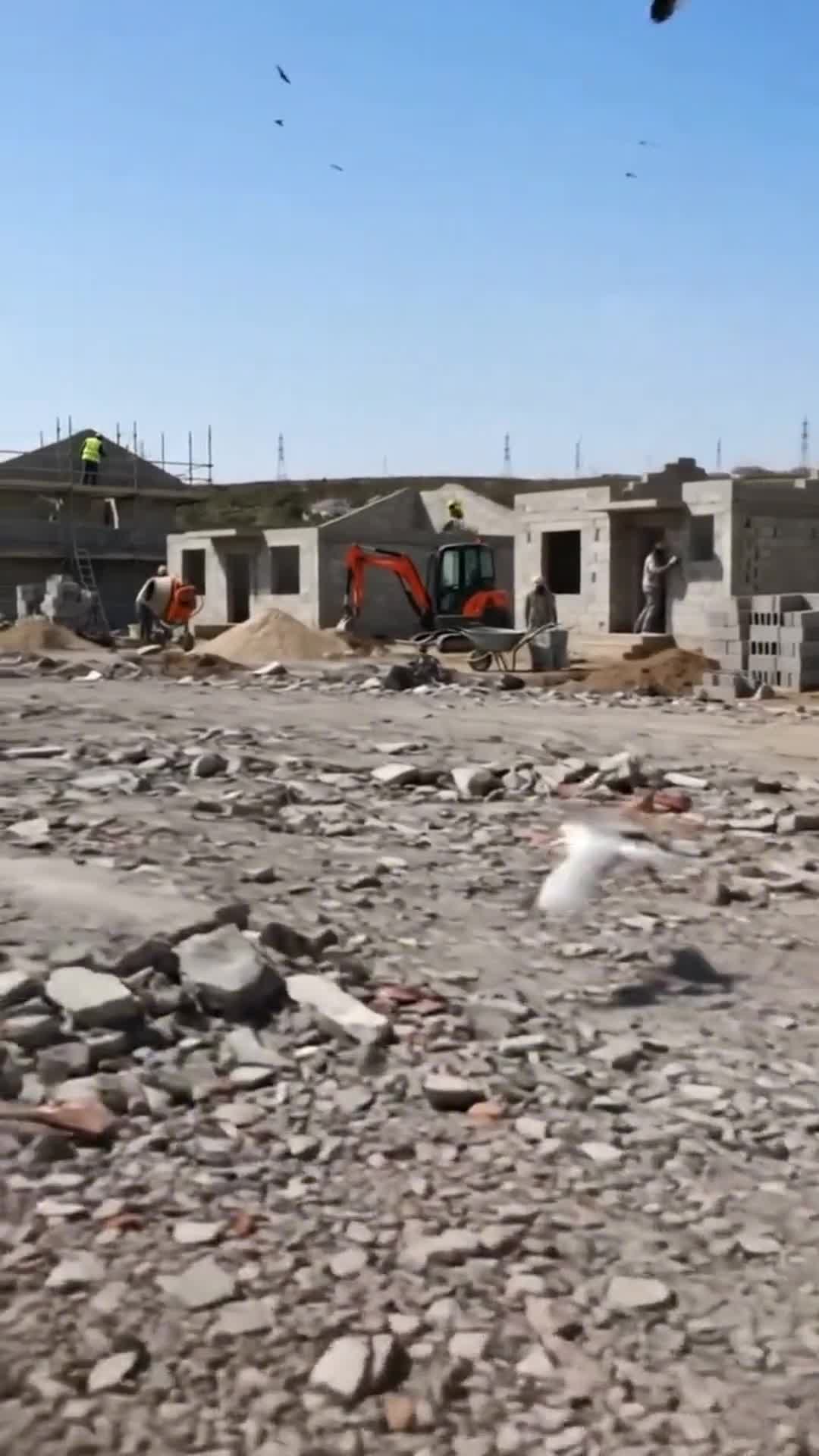 Göllərin doldurulması ilə bağlı tədbirlər görülür